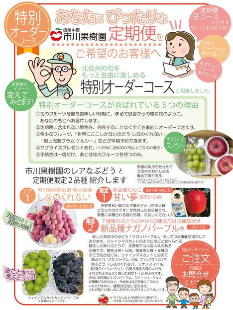 特別オ-ダーコースコース説明